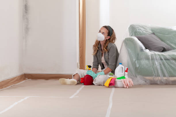 Reliable Mold Testing contractor in Gwynn Oak, MD by WQB Mold Removal