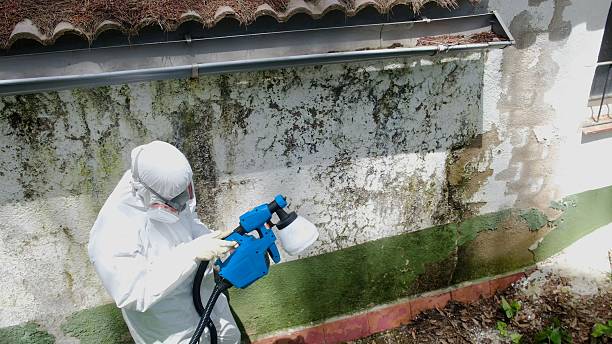 Top rated local Mold Testing specialists in Gwynn Oak, MD